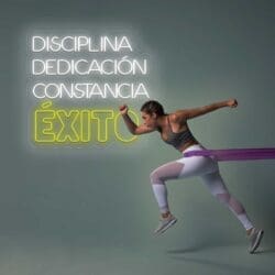 Neón Disciplina, Dedicación, Constancia, Éxito.