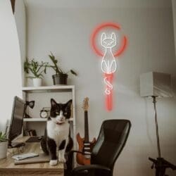 Un gato blanco y negro está sentado en un escritorio en una habitación moderna con plantas, una computadora, una silla y una guitarra. Un letrero de neón que representa a un gato está colgado en la pared sobre el escritorio.